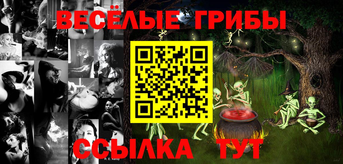 Галлюциногенные грибы Psilocybe Архангельск